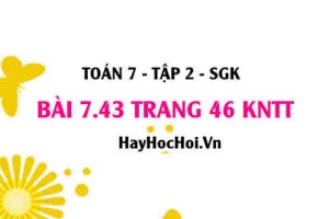 Bài 7.43 trang 46 Toán 7 Tập 2 Kết nối tri thức